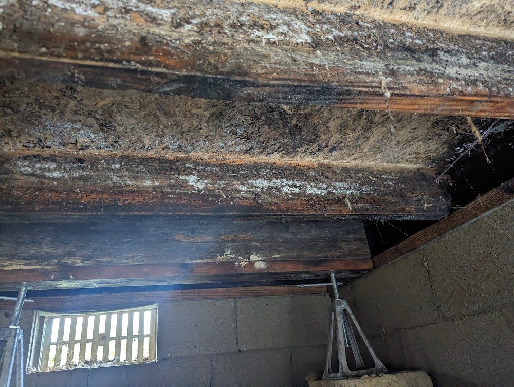 Close view of marked floor joists above a crawl space foundation vent