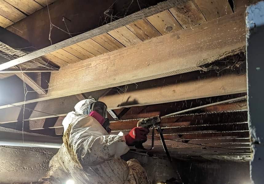 Respirator-wearing worker treating overhead timber