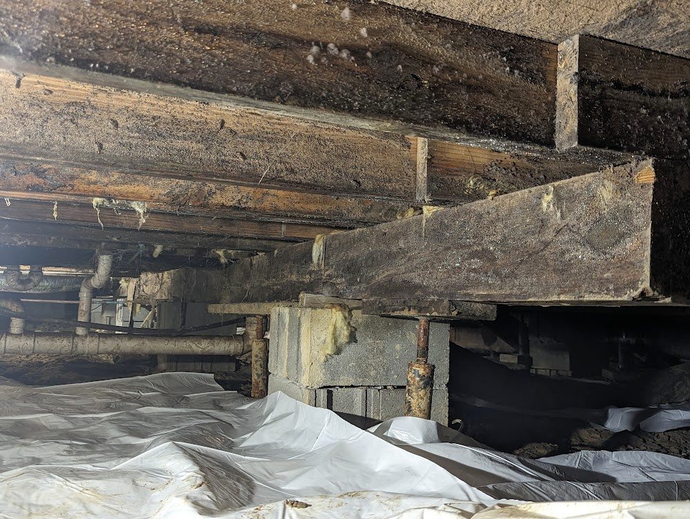 Dark, stained beams and old pipes above a crawl space liner