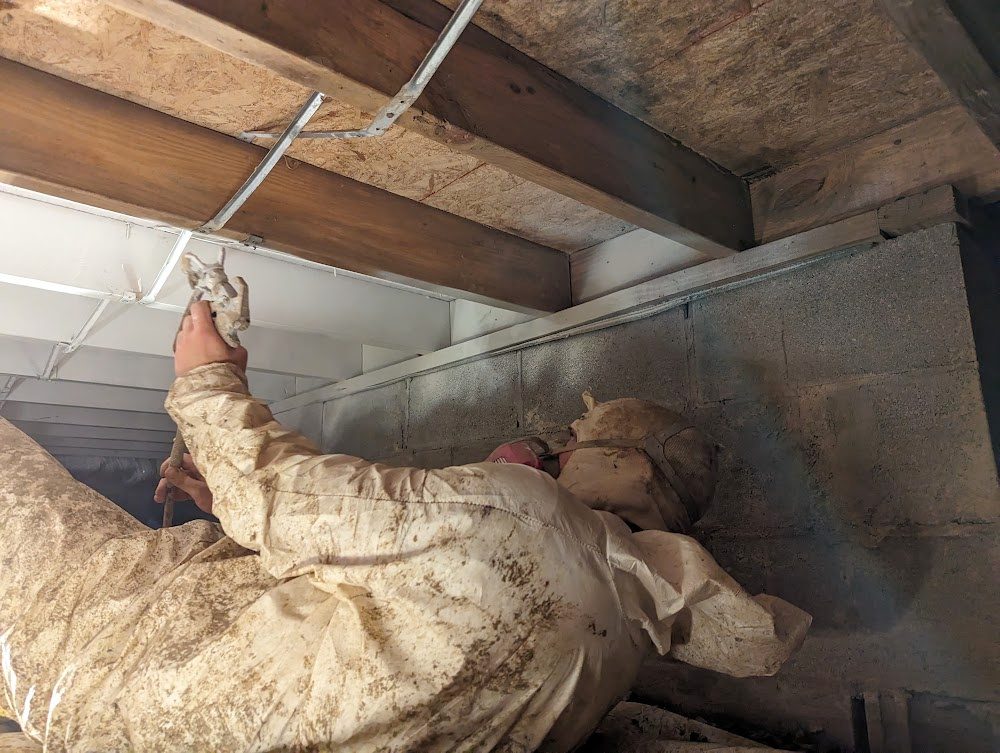 Mold Remediation