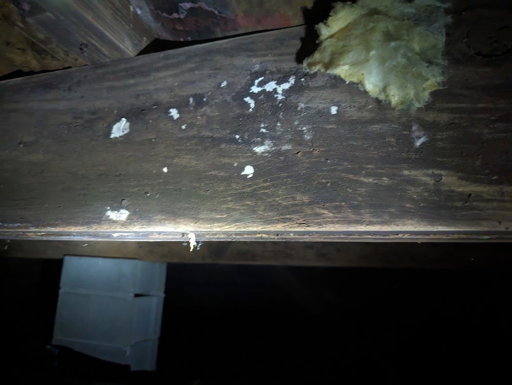 White marks on dark crawl space timber
